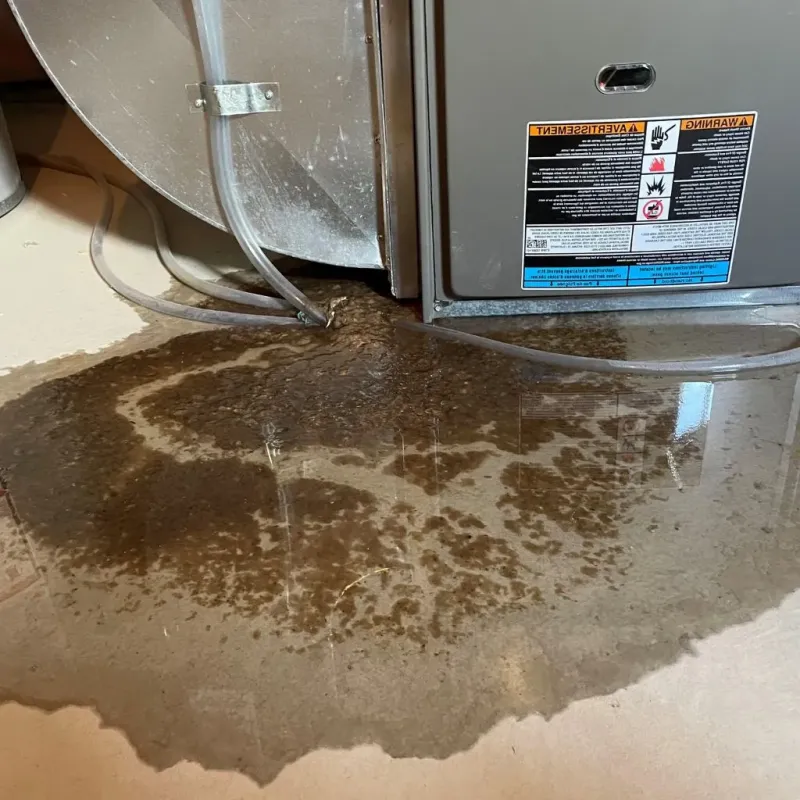 Pipe Burst and Leak Restoration in Willow Street, PA